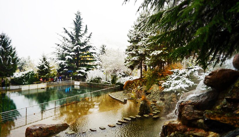 پارک جمشیدیه تهران