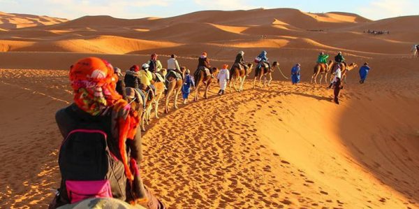 راهنمای جامع کویرگردی در ایران