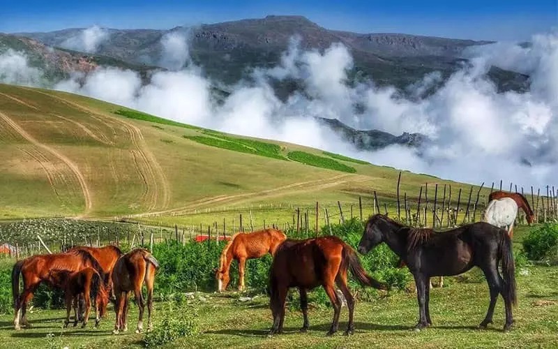 جاهای دیدنی تالش