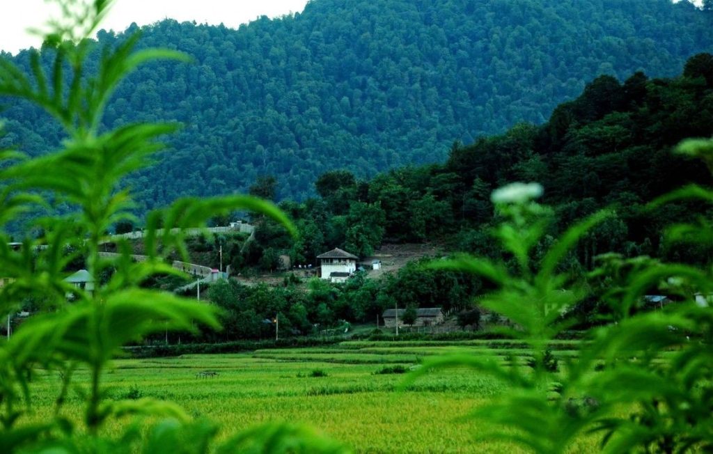 جاهای دیدنی فومن